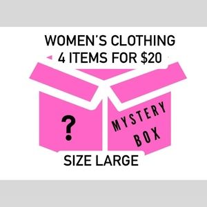 Mystery Box (Women’s Clothing) Size Large (L-2)